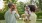 a man and woman holding a dog