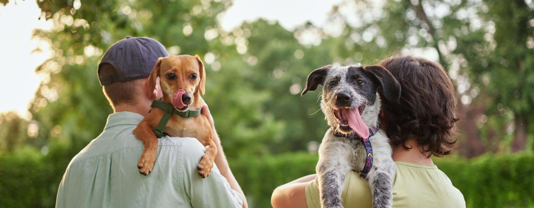 a man and woman holding a dog