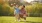 a person and a child playing with a frisbee